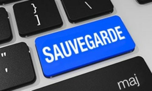 sauvegarde_logo-1280x720 Parceque tout perdreest plus fréquent que vous ne le croyez !